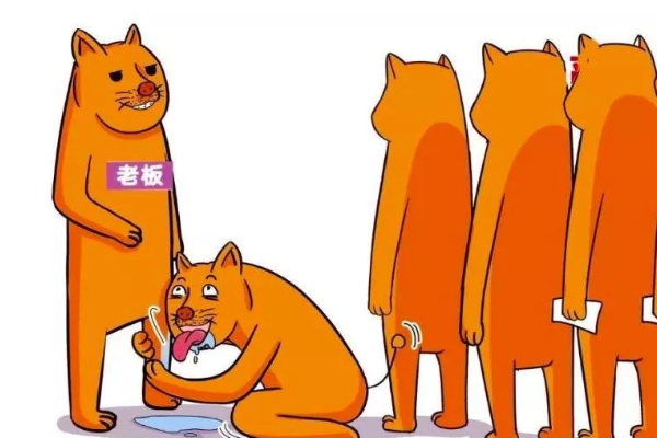 跪舔是什么意思