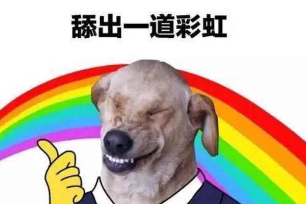 跪舔是什么意思