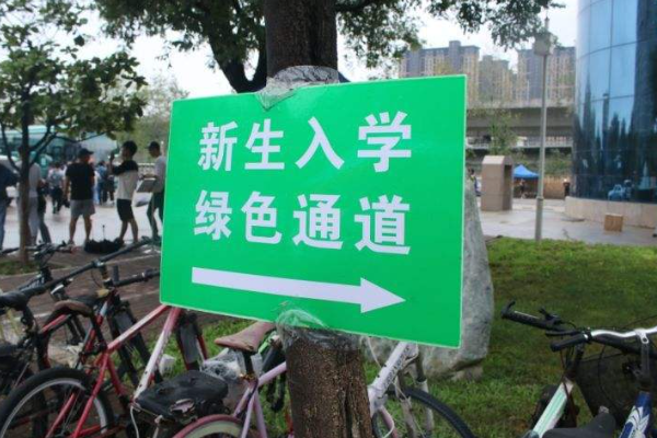 綠色通道的綠色的含義是什么