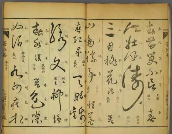 如何寫好草書？
