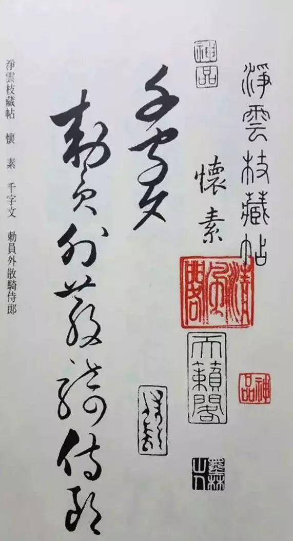 懷素草書《千字文》凈云枝藏