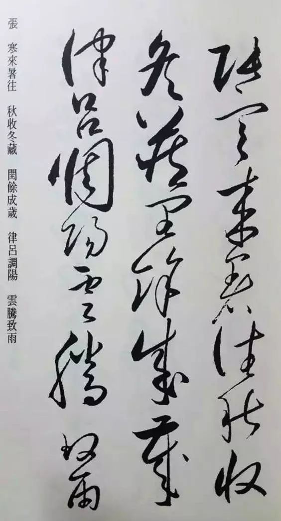 懷素草書《千字文》凈云枝藏