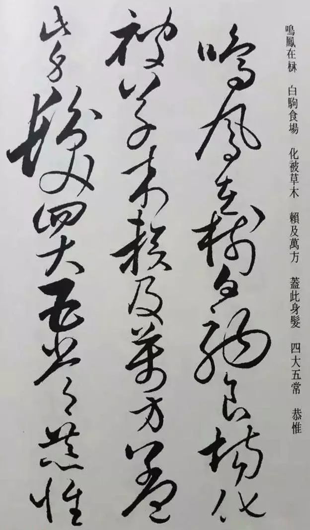 懷素草書《千字文》凈云枝藏