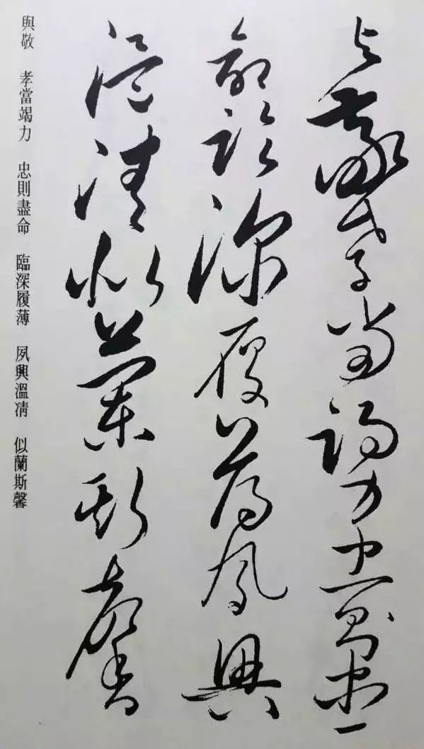 懷素草書《千字文》凈云枝藏