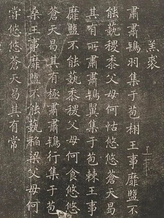 褚遂良小楷《詩唐風》書法欣賞