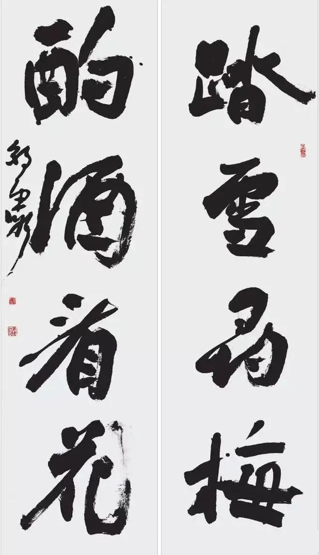胡朝霞書法作品欣賞(圖12)