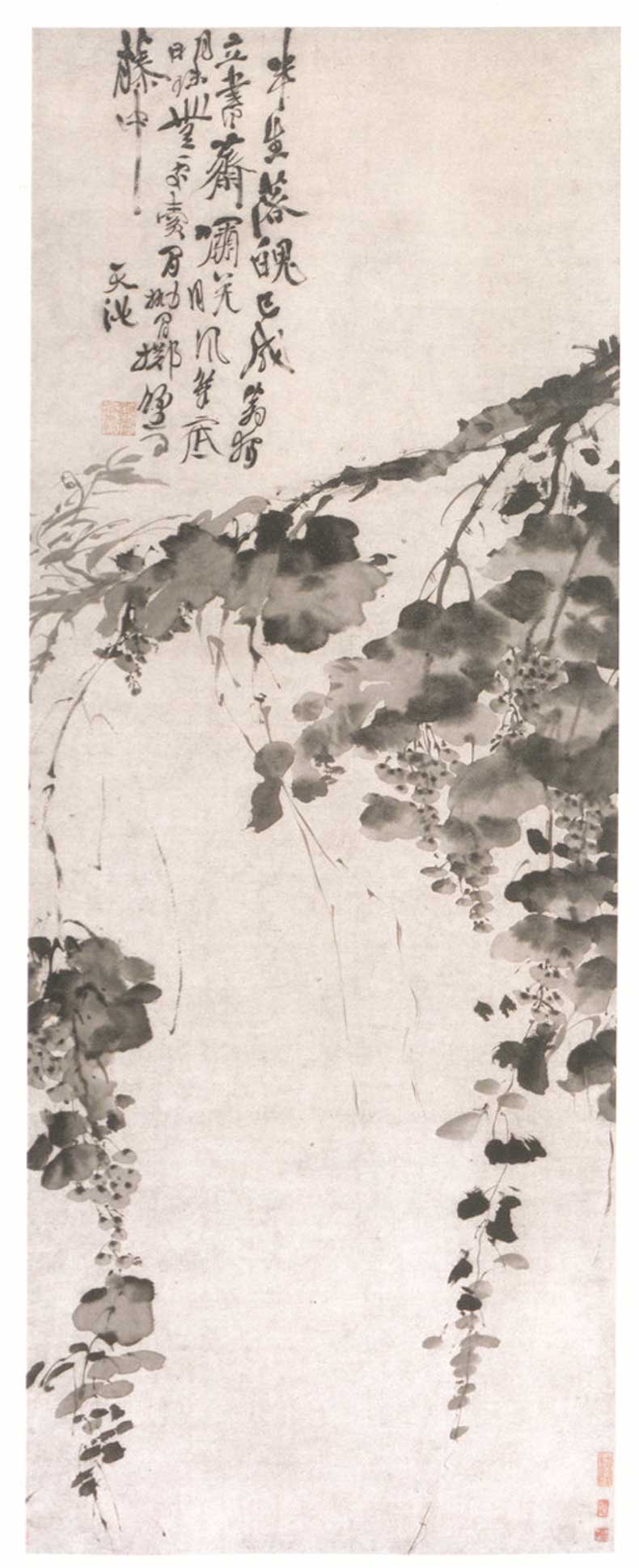 徐渭作品《墨葡萄圖》欣賞