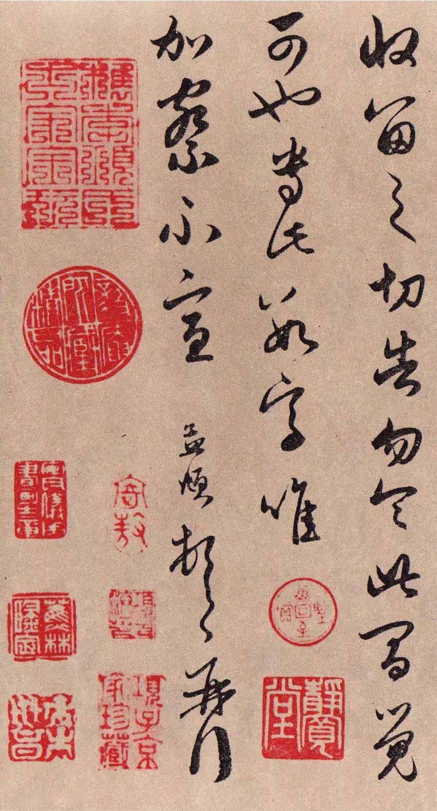 罕見趙孟頫草書—《靜心帖》