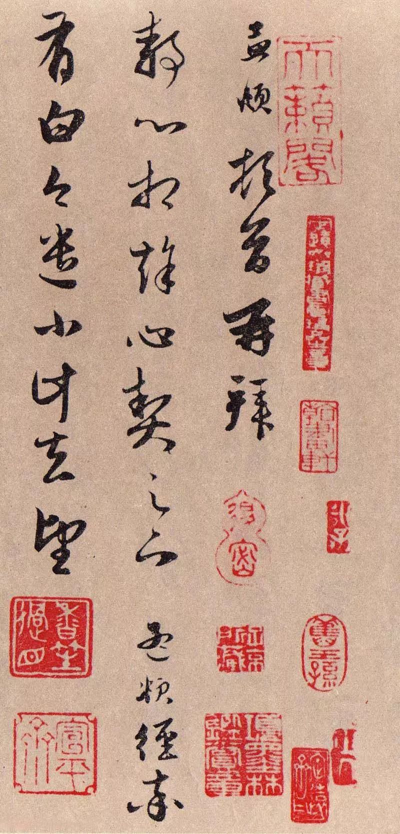 罕見趙孟頫草書—《靜心帖》