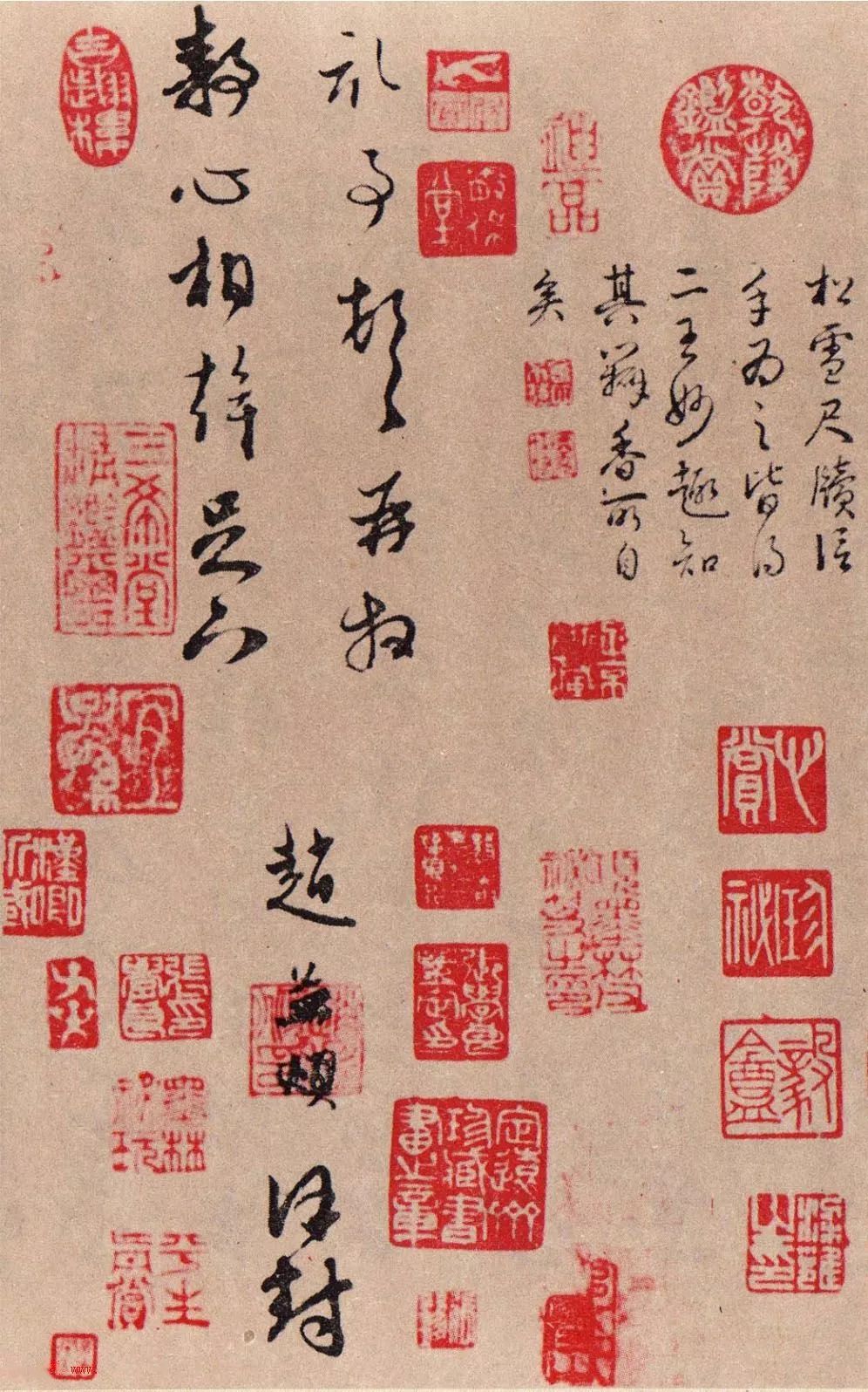 罕見趙孟頫草書—《靜心帖》