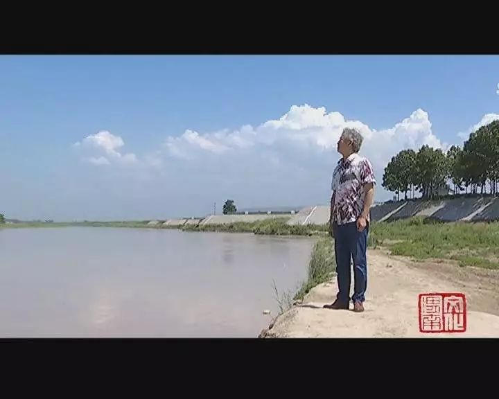 書法家李羊民篆刻藝術(shù)欣賞