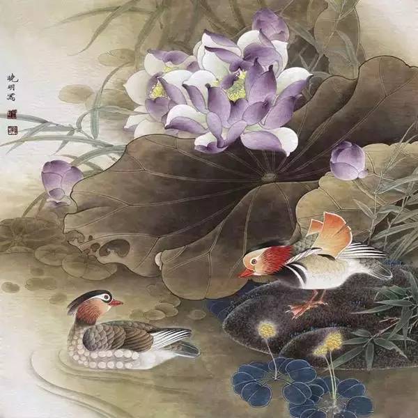 17副精美的鴛鴦戲水圖！