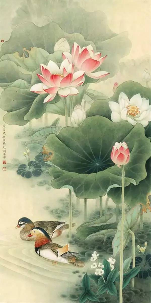 17副精美的鴛鴦戲水圖！