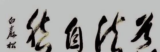 現(xiàn)代書法家著名央視主持人白巖松書法作品欣賞