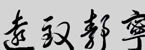 現(xiàn)代書法家著名央視主持人白巖松書法作品欣賞