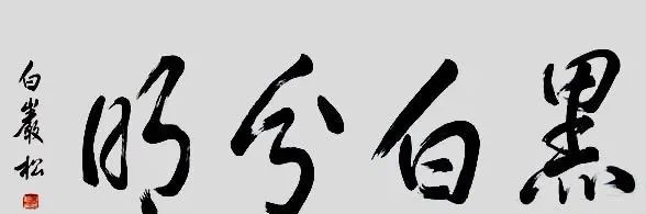 現(xiàn)代書法家著名央視主持人白巖松書法作品欣賞