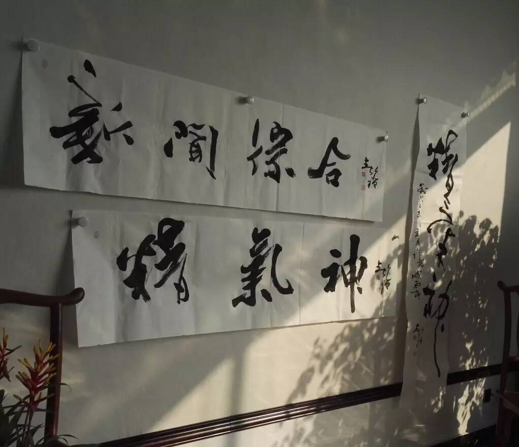 著名書法家孟春晗書法展示
