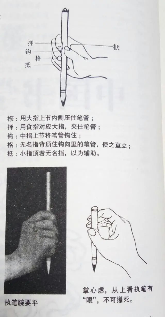 毛筆書法入門基礎(chǔ)訓練