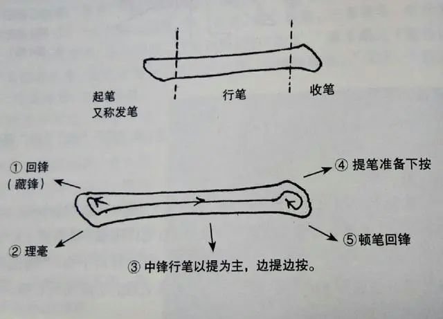 毛筆書法入門基礎(chǔ)訓練