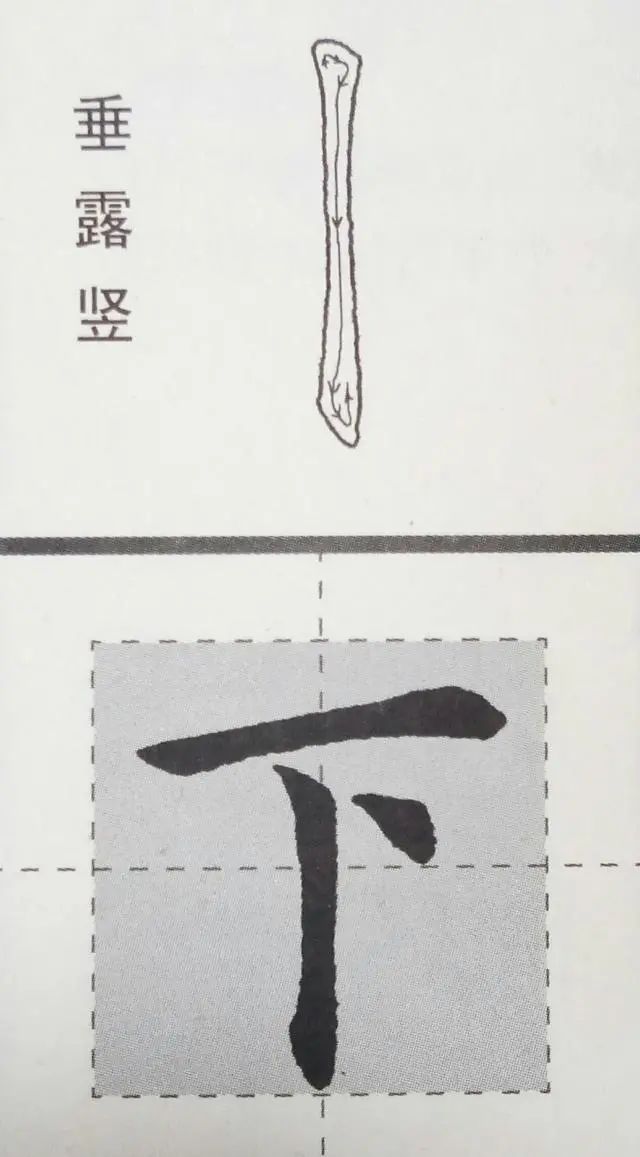 毛筆書法入門基礎(chǔ)訓練