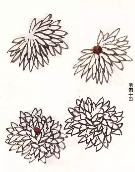 菊花怎么畫,國畫寫意菊花畫法