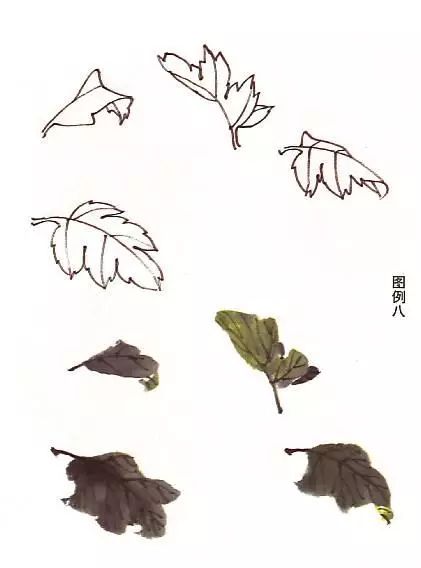 菊花怎么畫,國畫寫意菊花畫法