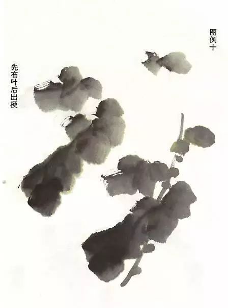 菊花怎么畫,國畫寫意菊花畫法