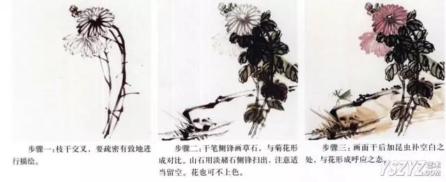 菊花怎么畫,國畫寫意菊花畫法