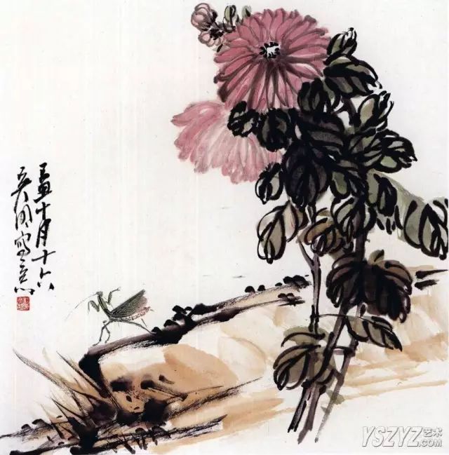 菊花怎么畫,國畫寫意菊花畫法
