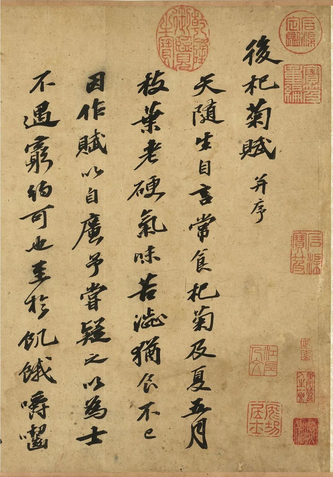 北宋蘇軾行書《后杞菊賦》