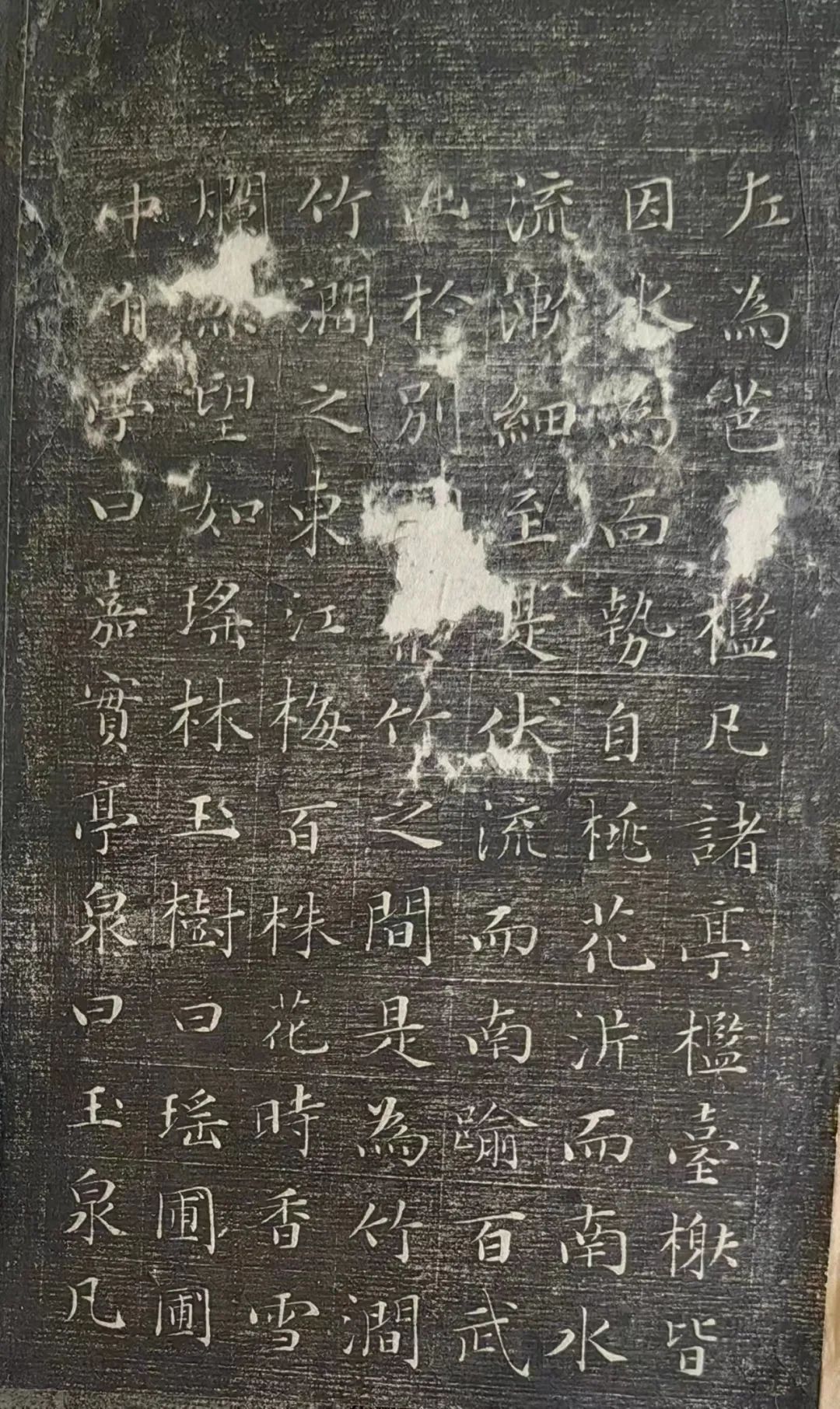 文征明“王氏拙政園記”書法作品殘篇
