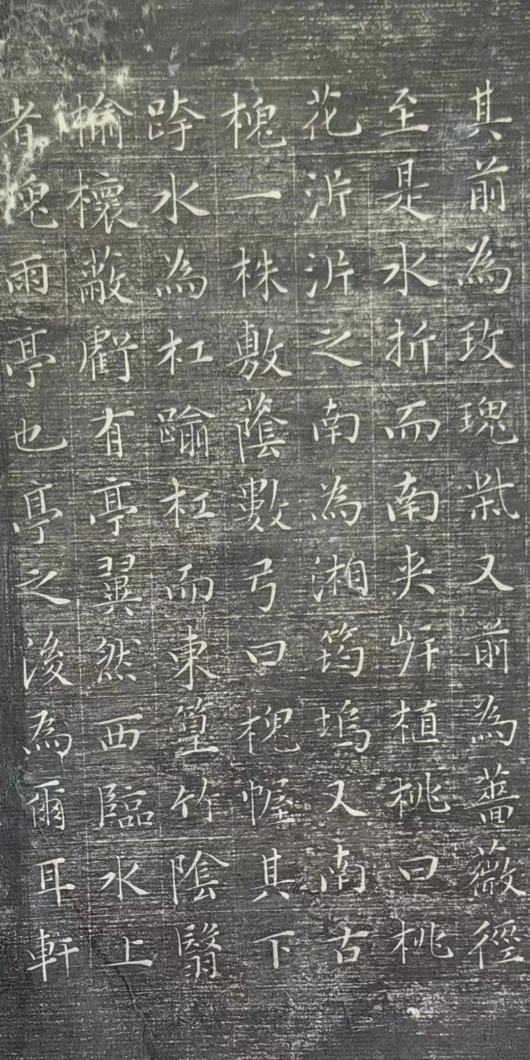 文征明“王氏拙政園記”書法作品殘篇