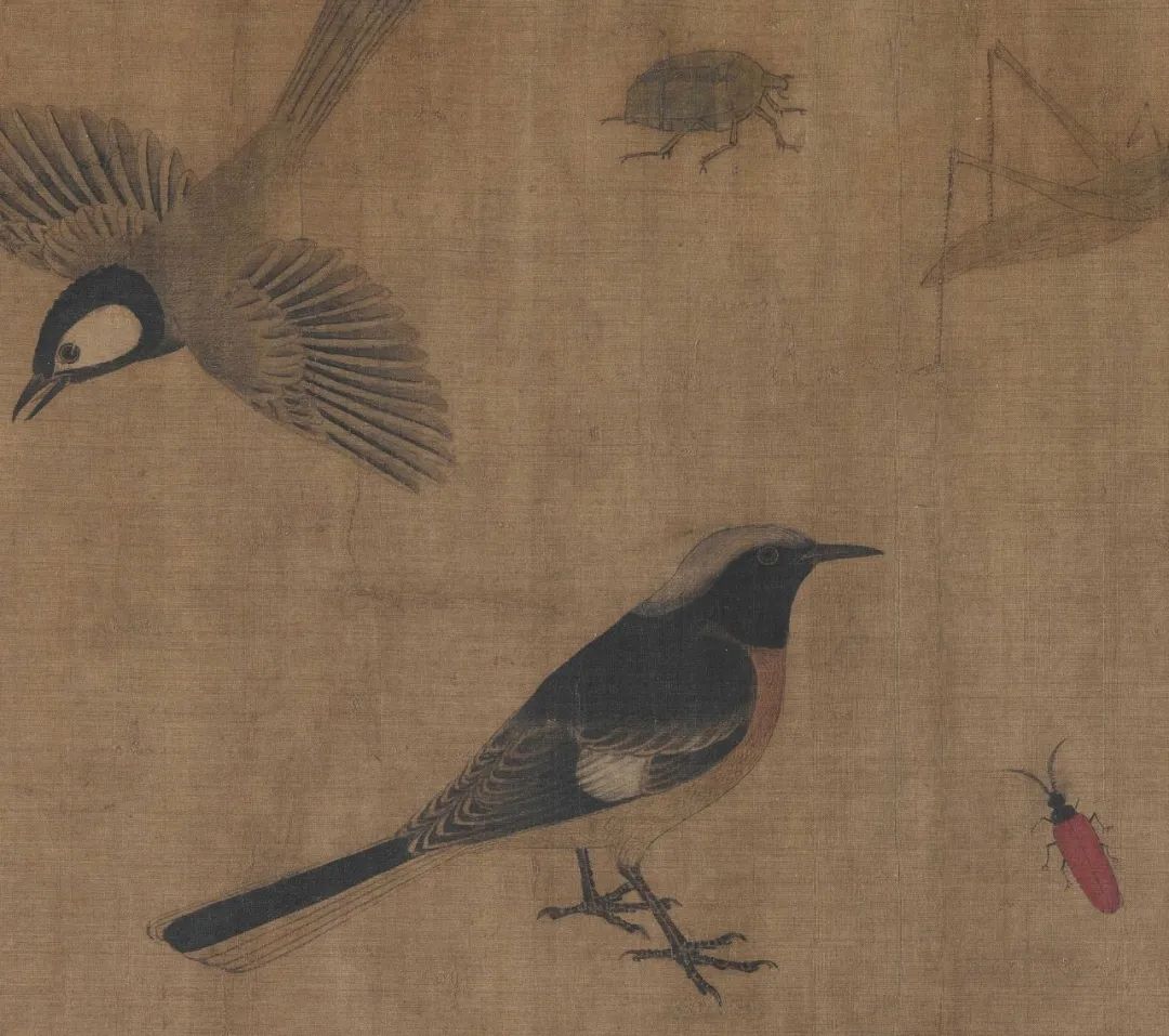 黃荃《寫生珍禽圖》