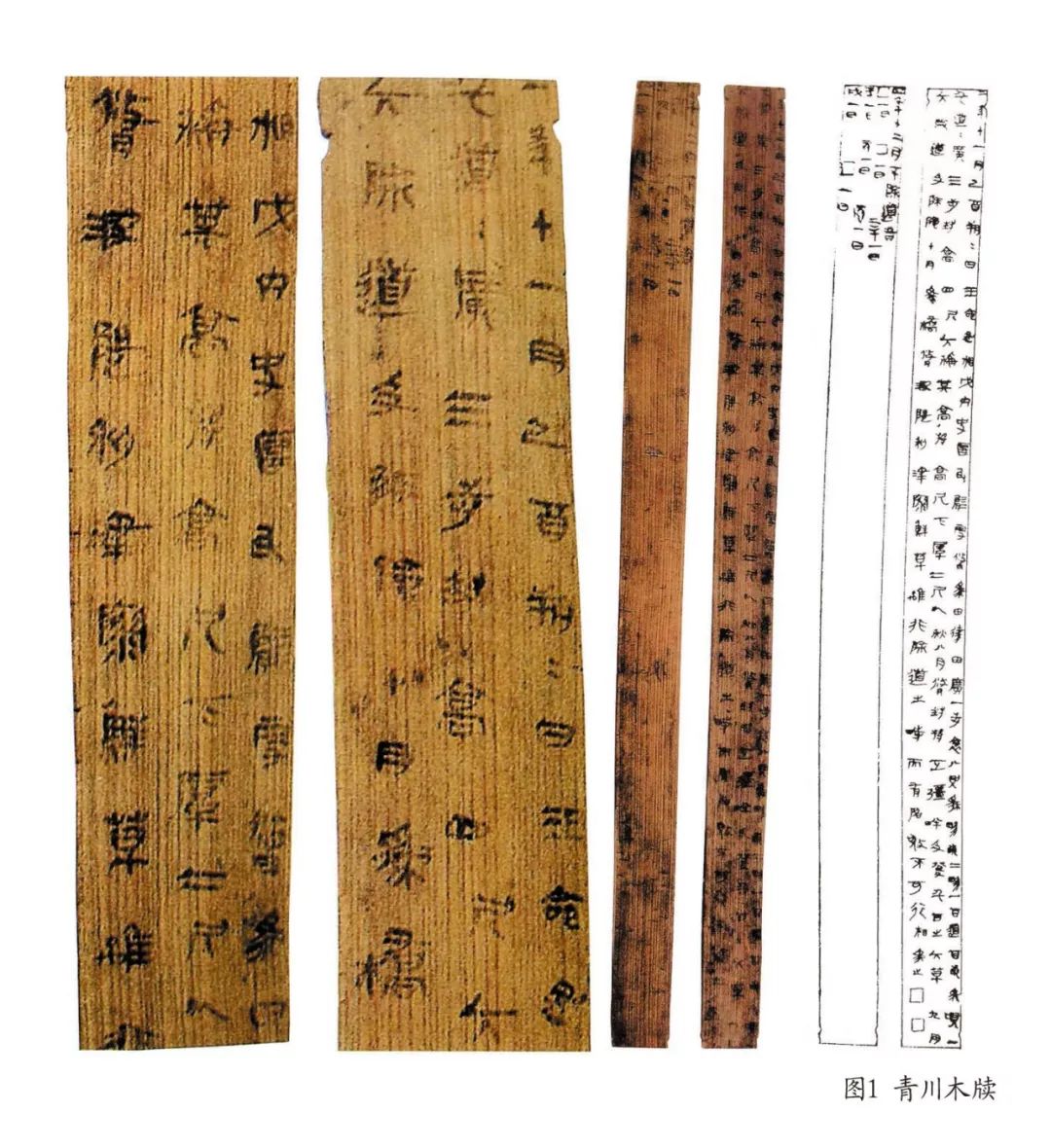 探尋秦隸的歷史淵源與藝術(shù)價(jià)值