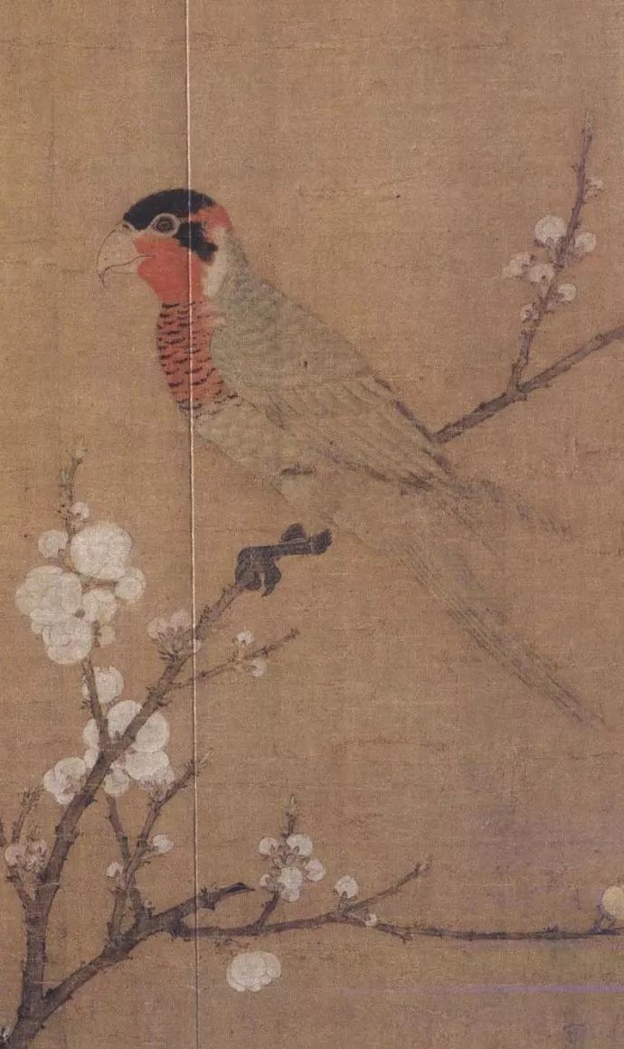 宋徽宗趙佶傳世精品《五色鸚鵡圖》