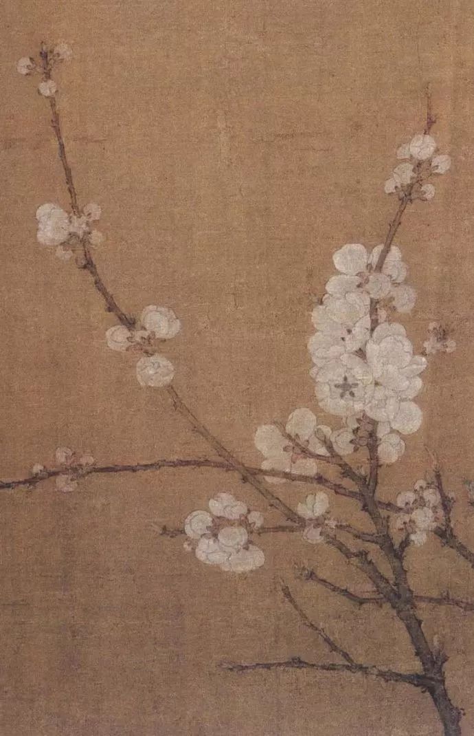 宋徽宗趙佶傳世精品《五色鸚鵡圖》