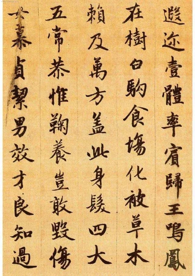 怎樣寫好行書,寫好行書的12個要領