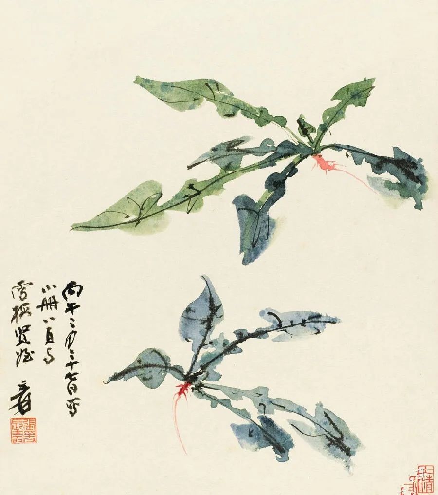 張大千花鳥畫果蔬圖
