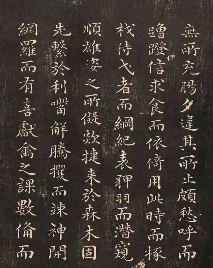 祝允明50歲小楷《雕賦并表》