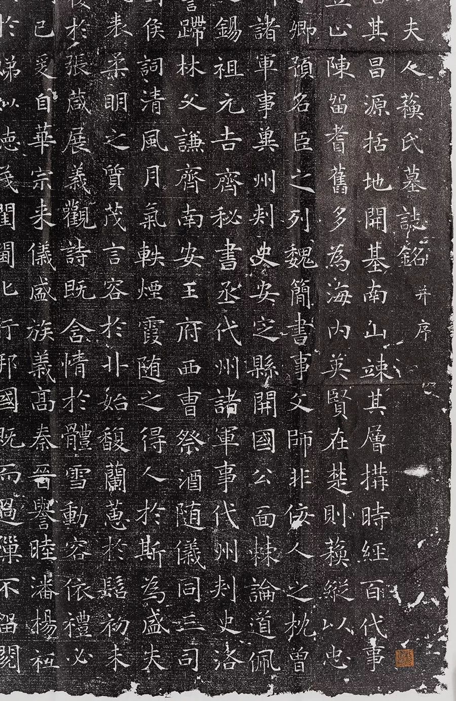 唐墓志《鄂國(guó)公夫人蘇氏墓志銘》作品欣賞