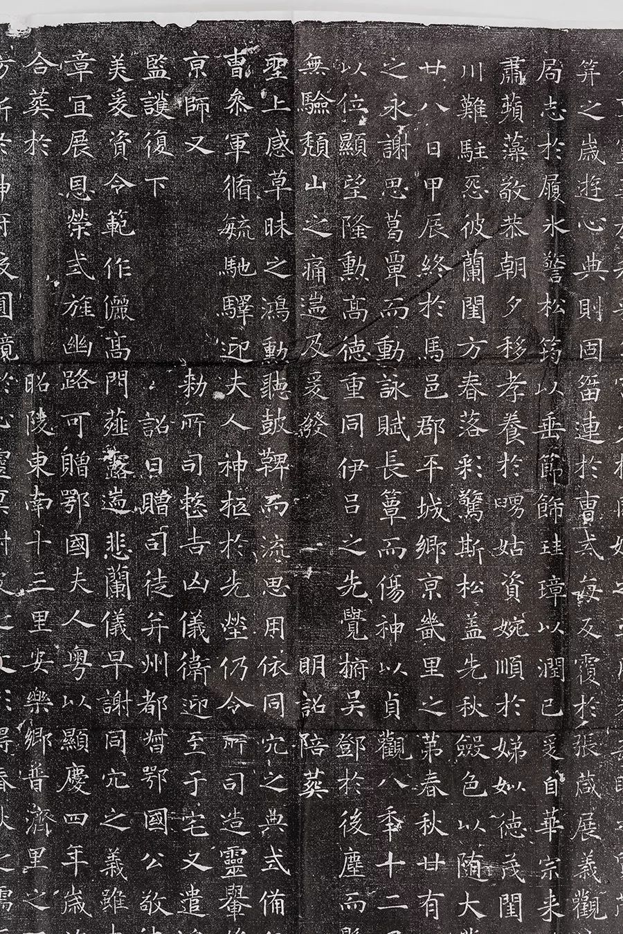 唐墓志《鄂國(guó)公夫人蘇氏墓志銘》作品欣賞