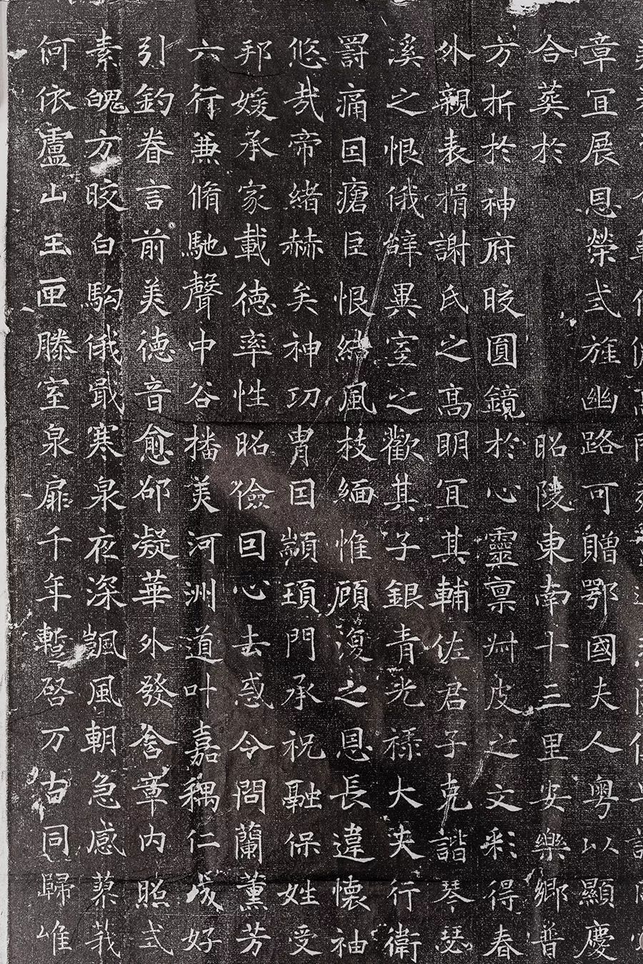 唐墓志《鄂國(guó)公夫人蘇氏墓志銘》作品欣賞