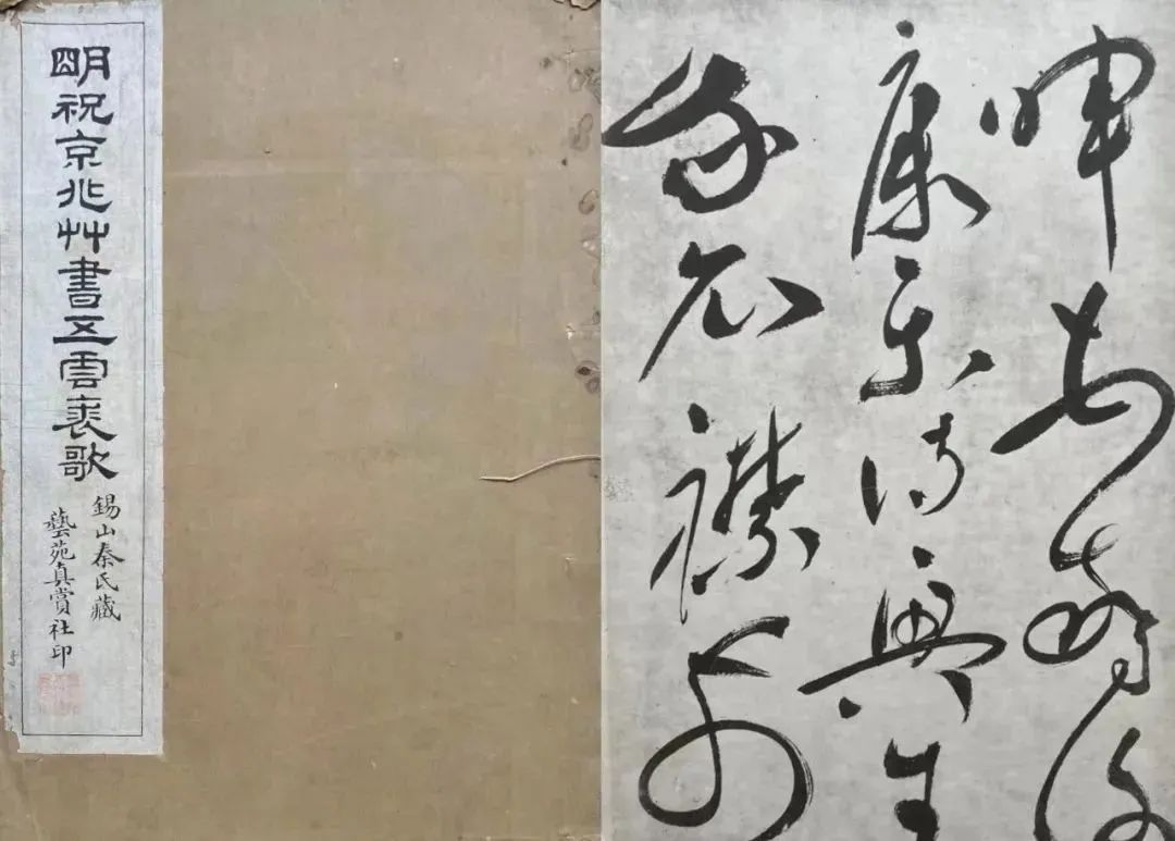 明代“草圣”祝允明《五云裘歌》卷欣賞
