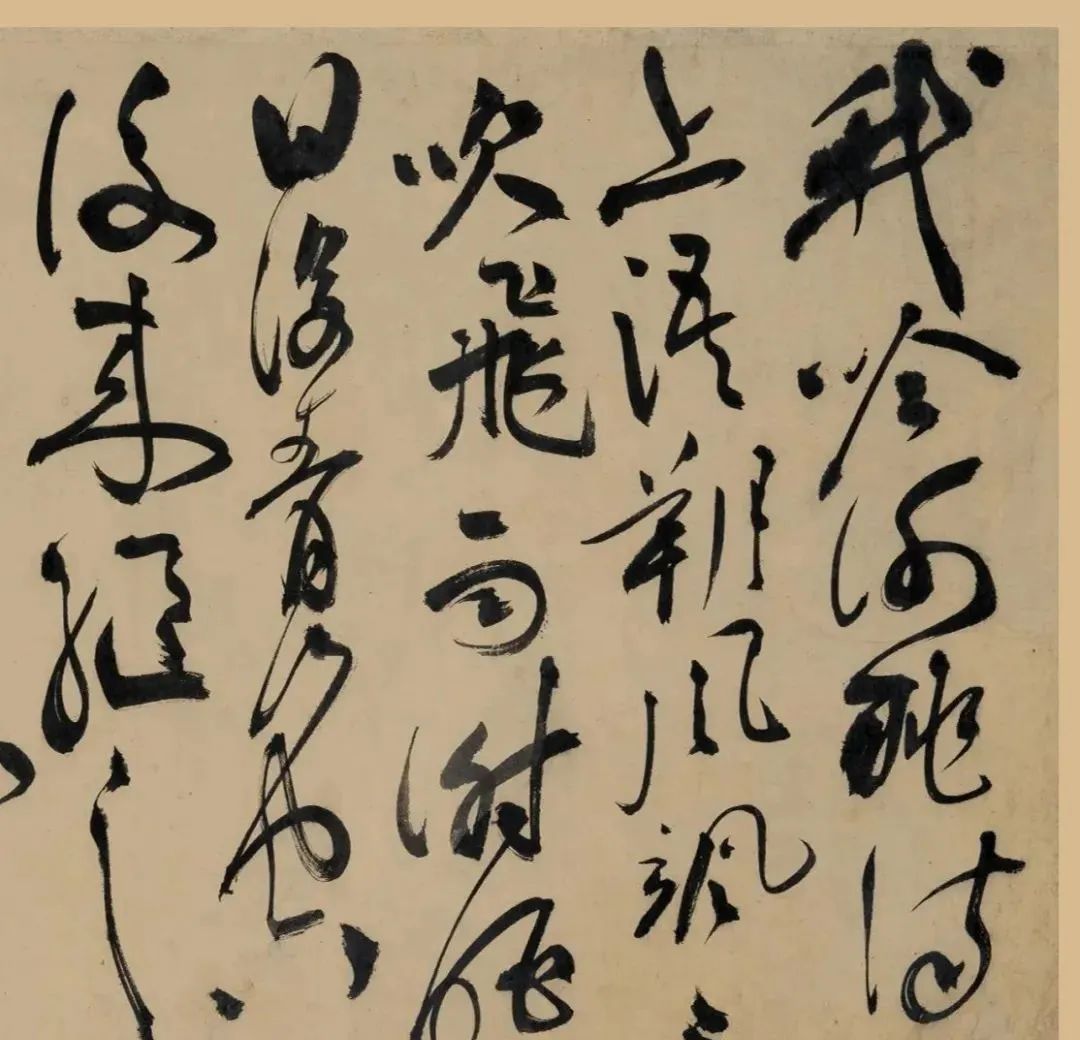 明代“草圣”祝允明《五云裘歌》卷欣賞