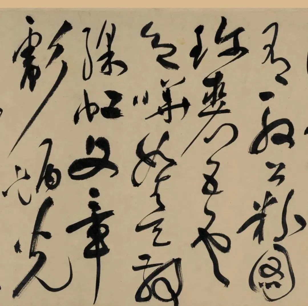 明代“草圣”祝允明《五云裘歌》卷欣賞