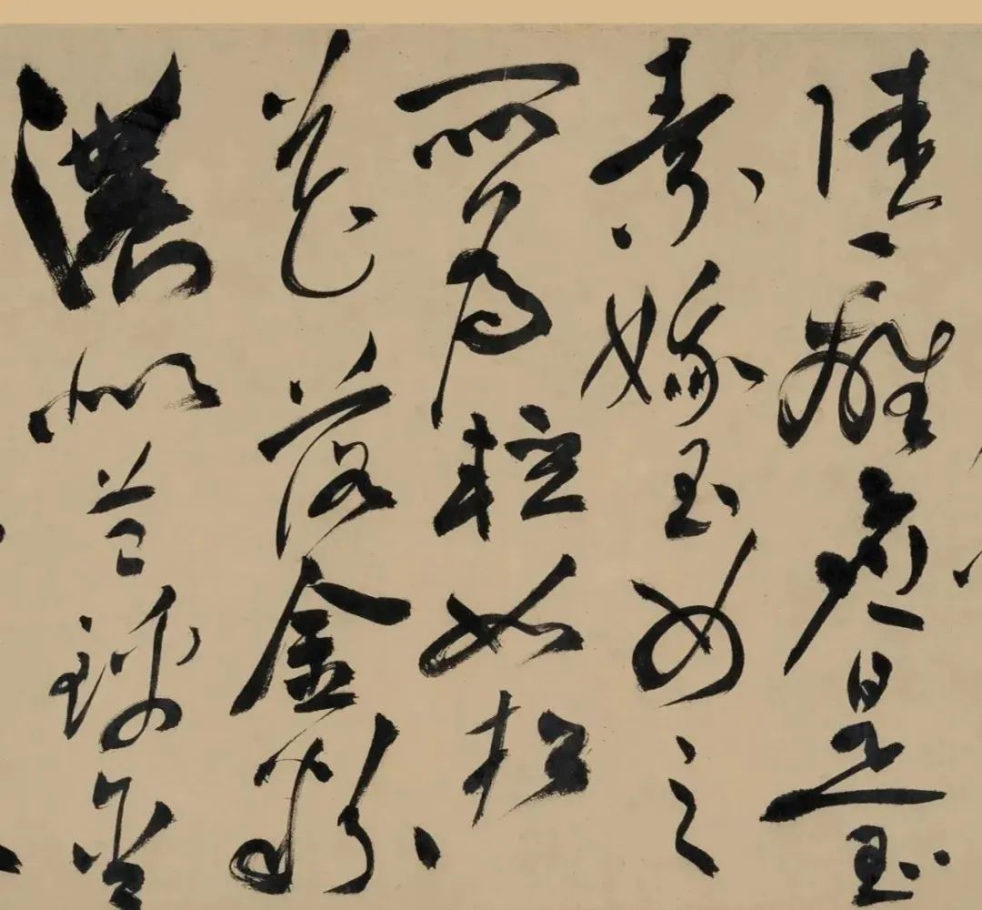 明代“草圣”祝允明《五云裘歌》卷欣賞