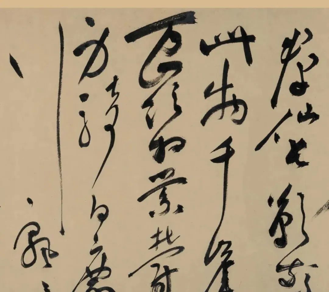 明代“草圣”祝允明《五云裘歌》卷欣賞