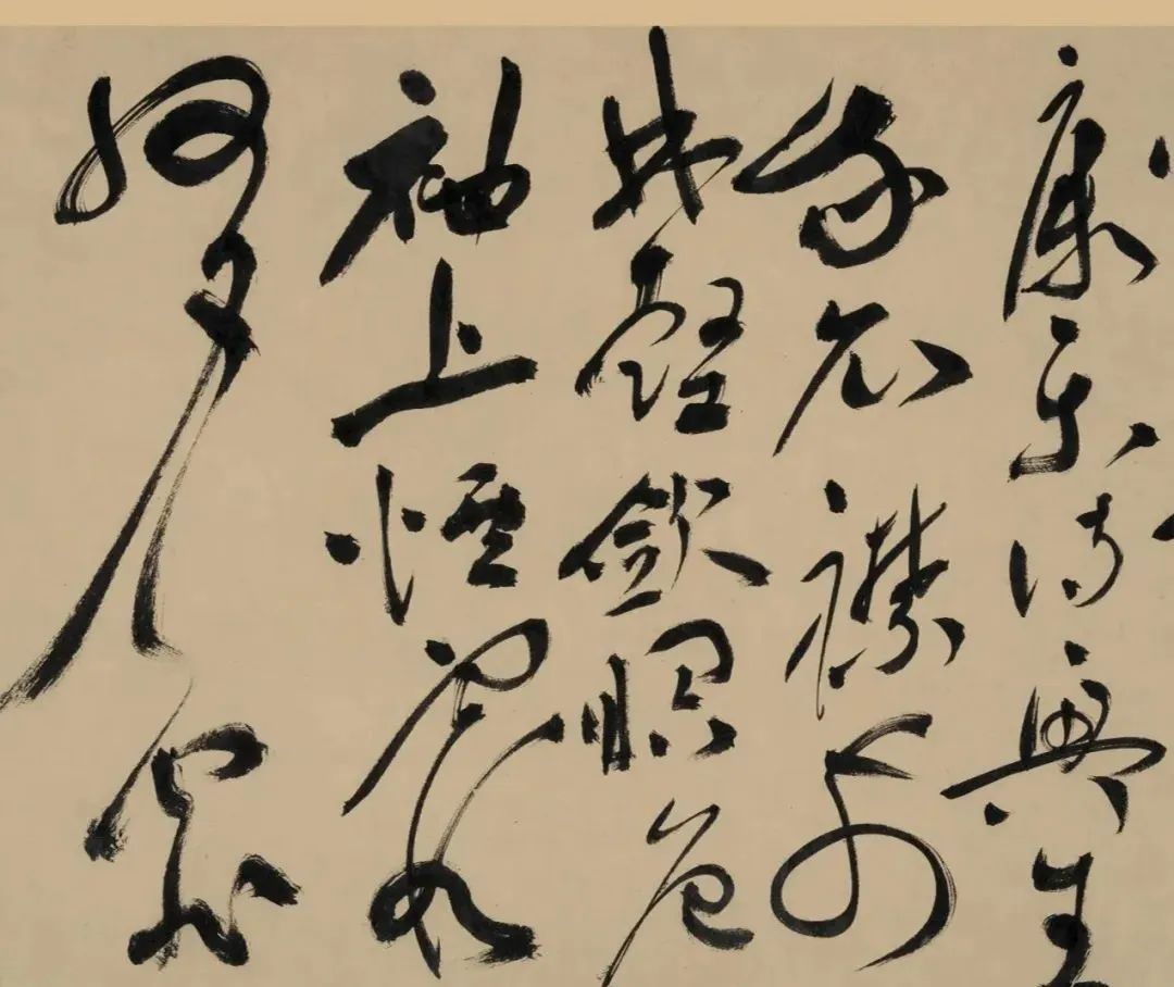 明代“草圣”祝允明《五云裘歌》卷欣賞