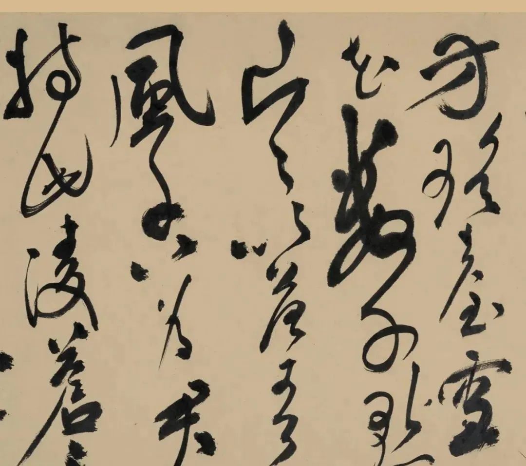 明代“草圣”祝允明《五云裘歌》卷欣賞