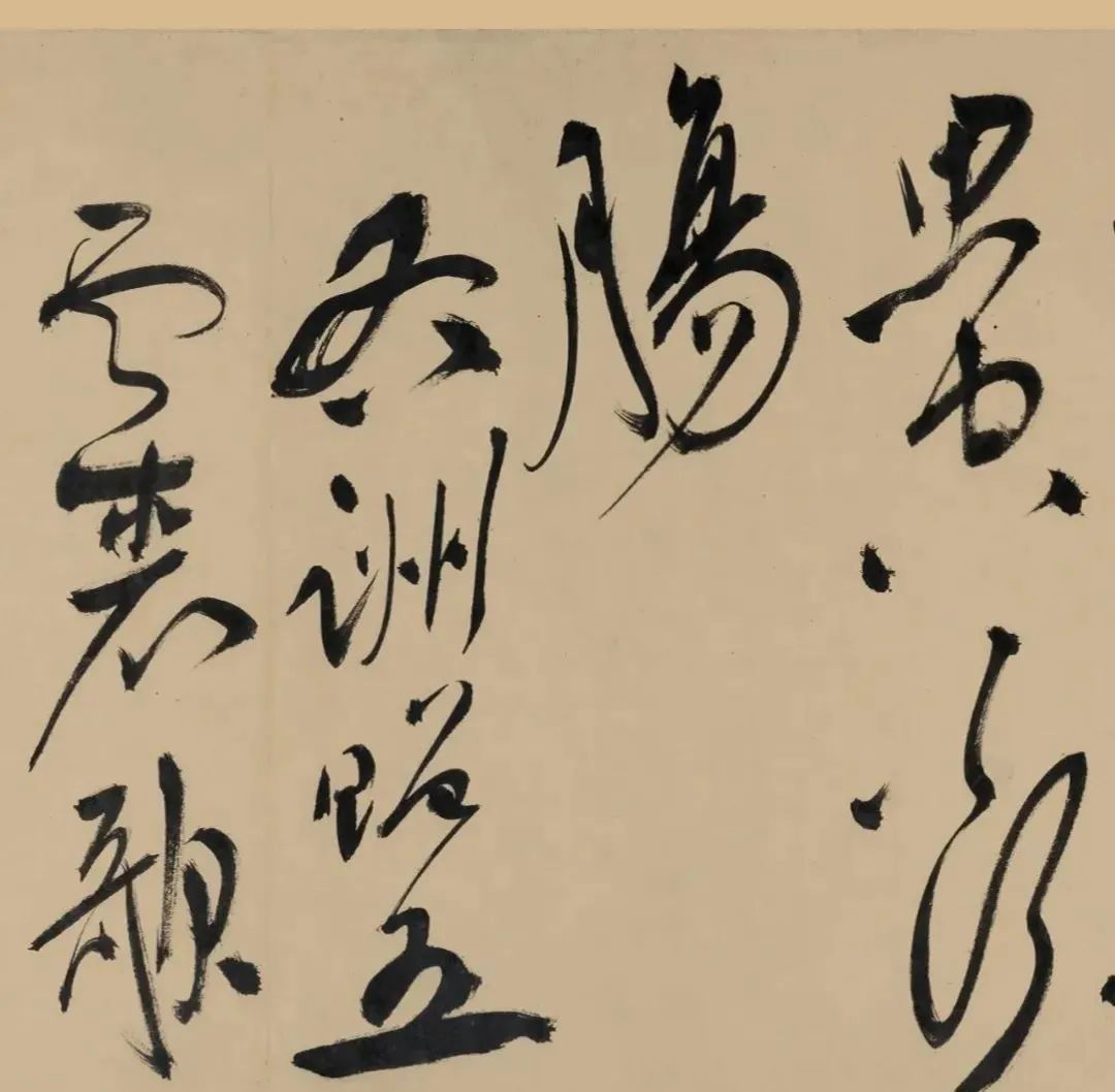 明代“草圣”祝允明《五云裘歌》卷欣賞